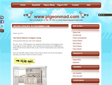 Tablet Screenshot of pigeonmad.com